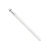 Philips Master Tube LED T8 (EM/Direct 230V) High Output T8 7.6W 1150lm - 865 Lumière Du Jour | 60cm - Équivalent 18W